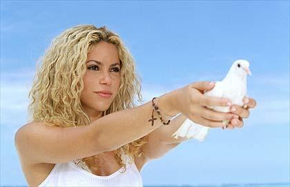 shakira